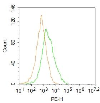 HLA-DRA Rabbit Polyclonal Antibody