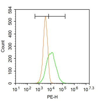 HLA E Rabbit Polyclonal Antibody
