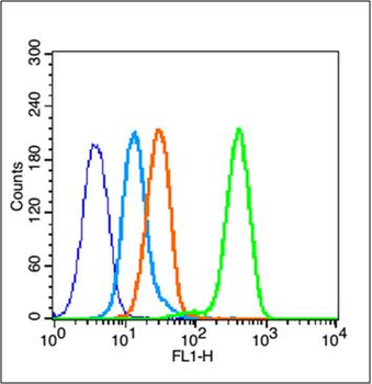 HMGB1 Rabbit Polyclonal Antibody