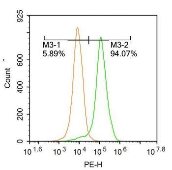 AIF1/Iba1 Rabbit Polyclonal Antibody