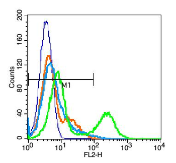 IGF1R Rabbit Polyclonal Antibody