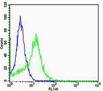 Integrin Alpha V + Beta 5 Rabbit Polyclonal Antibody