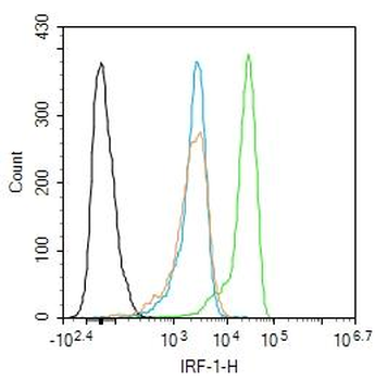 IRF1 Rabbit Polyclonal Antibody