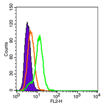 Integrin beta 1 Rabbit Polyclonal Antibody