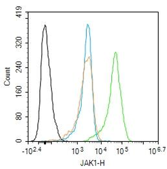JAK1 Rabbit Polyclonal Antibody