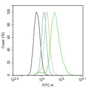 LDLR Rabbit Polyclonal Antibody