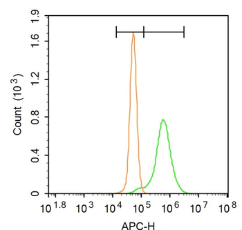 LDLR Rabbit Polyclonal Antibody
