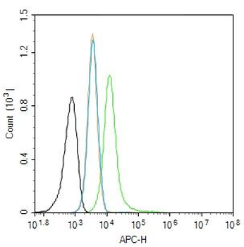 Ox-LDL Rabbit Polyclonal Antibody