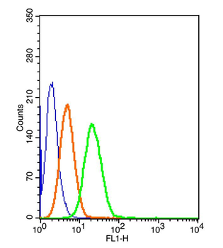 LRP/MVP Rabbit Polyclonal Antibody