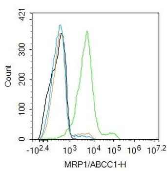 MRP1/ABCC1 Rabbit Polyclonal Antibody