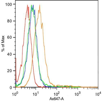 E cadherin Rabbit Polyclonal Antibody