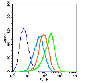 OCLN Rabbit Polyclonal Antibody