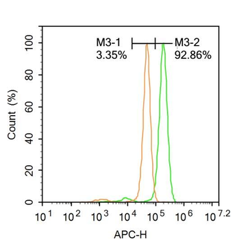 Oct4 Rabbit Polyclonal Antibody