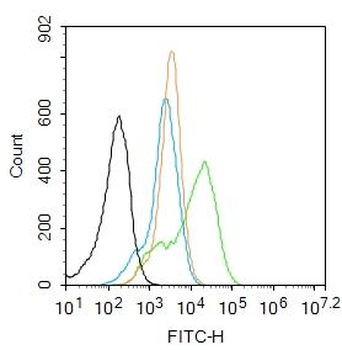 CDKN1A/p21 Rabbit Polyclonal Antibody