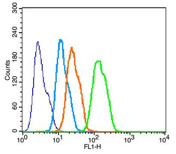 Phospho-P38 MAPK (Thr180 + Tyr182) Rabbit Polyclonal Antibody