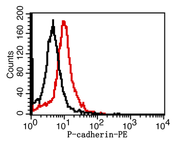 P-cadherin Rabbit Polyclonal Antibody