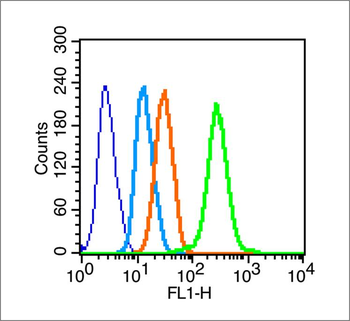 PDGF-B Rabbit Polyclonal Antibody