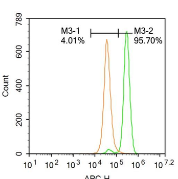 PP2A alpha + beta Rabbit Polyclonal Antibody