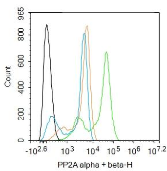 PP2A alpha + beta Rabbit Polyclonal Antibody