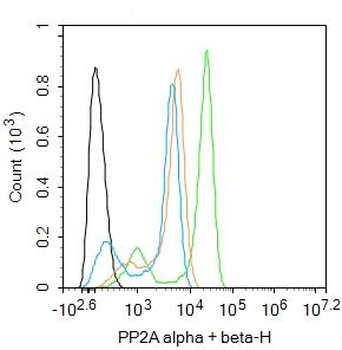 PP2A alpha + beta Rabbit Polyclonal Antibody