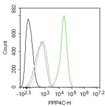PPP4C Rabbit Polyclonal Antibody