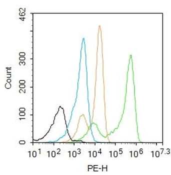 Progesterone receptor Rabbit Polyclonal Antibody