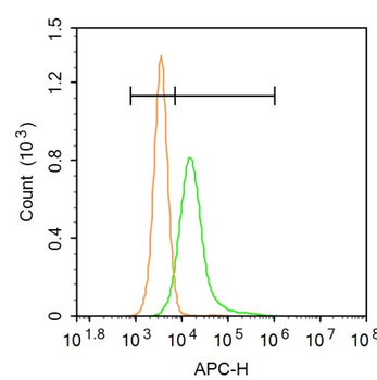 CXCL16 Rabbit Polyclonal Antibody