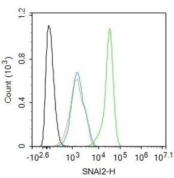 SNAI2 Rabbit Polyclonal Antibody
