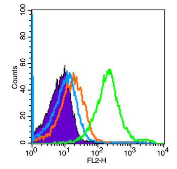Smad2 Rabbit Polyclonal Antibody