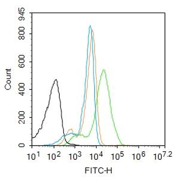 SFTPD Rabbit Polyclonal Antibody