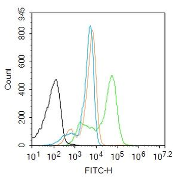 SFTPD Rabbit Polyclonal Antibody