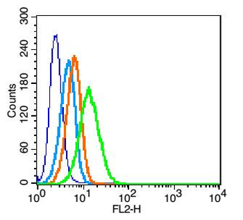 CD90/Thy-1 Rabbit Polyclonal Antibody