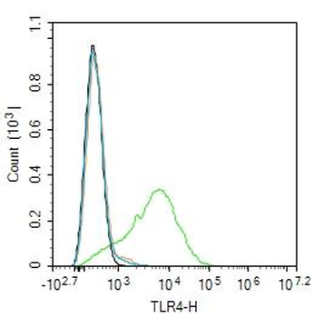 TLR4 Rabbit Polyclonal Antibody