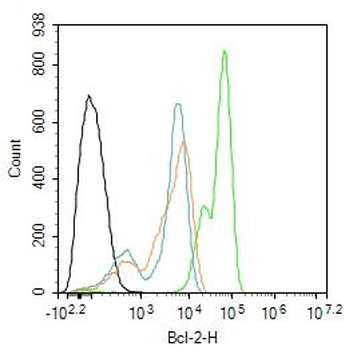 Bcl-2 Mouse Monoclonal Antibody