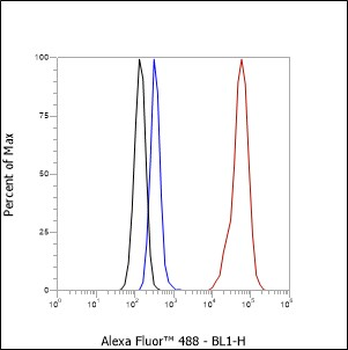 MUC2 Recombinant Rabbit Monoclonal Antibody