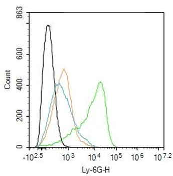 Ly-6G Rabbit Polyclonal Antibody