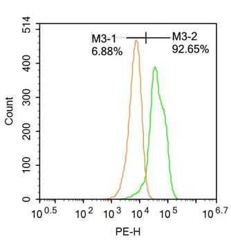 VHL Rabbit Polyclonal Antibody