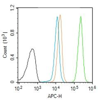 Ubiquitin Rabbit Polyclonal Antibody