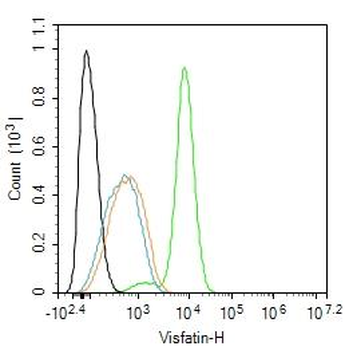 Visfatin Rabbit Polyclonal Antibody