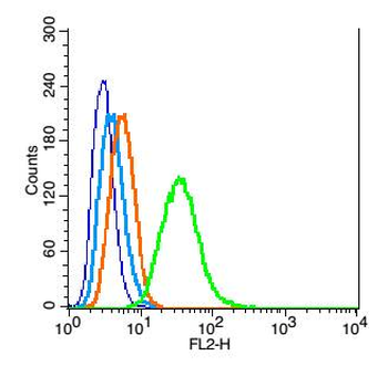 WDR26 Rabbit Polyclonal Antibody
