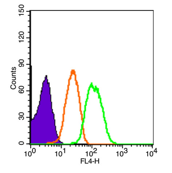 XIAP/BIRC4 Rabbit Polyclonal Antibody