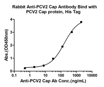 PCV2 capsid protein Rabbit Polyclonal Antibody