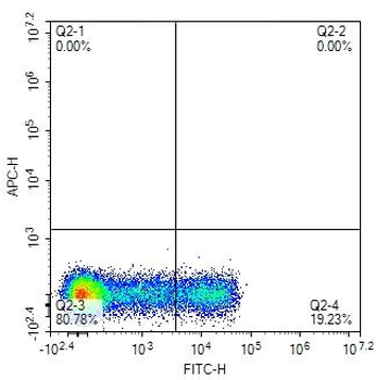 Human CD16 Mouse Monoclonal Antibody