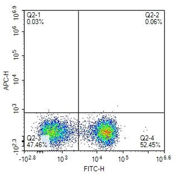 Human CD28 Mouse Monoclonal Antibody