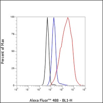 Histone H3 (NT) Recombinant Rabbit Monoclonal Antibody