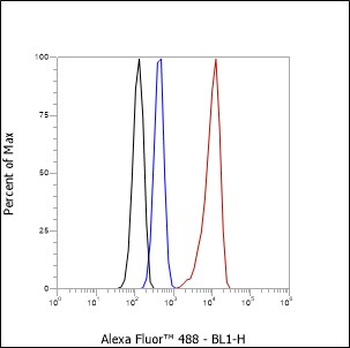 Myosin light chain 3 Recombinant Rabbit Monoclonal Antibody