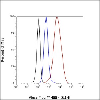 Cofilin 1 Recombinant Rabbit Monoclonal Antibody
