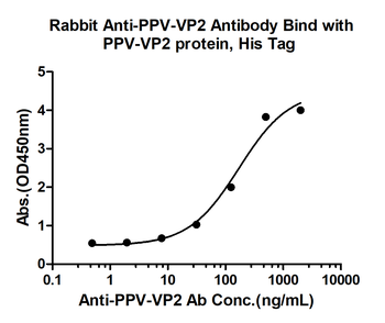 PPV VP2 Rabbit Polyclonal Antibody