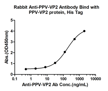 PPV VP2 Rabbit Polyclonal Antibody
