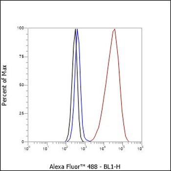 Mono/Di-Methyl-Histone H3 (Lys79) Recombinant Rabbit Monoclonal Antibody